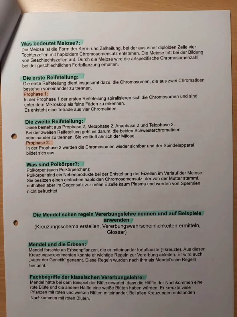 Nawi Lernzettel für die Arbeit am 05.03.2021:
Checkliste
1. Karyogramme und Chromosomensatz
- Aufbau von Chromosomen
- Chromosomensatz bei M