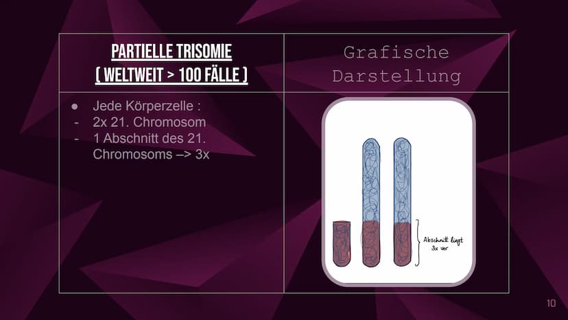 Das Down-Syndrom
(Trisomie 21) Inhaltsverzeichnis
1. Welches Menschenbild hat man?
2. Allgemeine Informationen
3. Formen und Entstehung des 