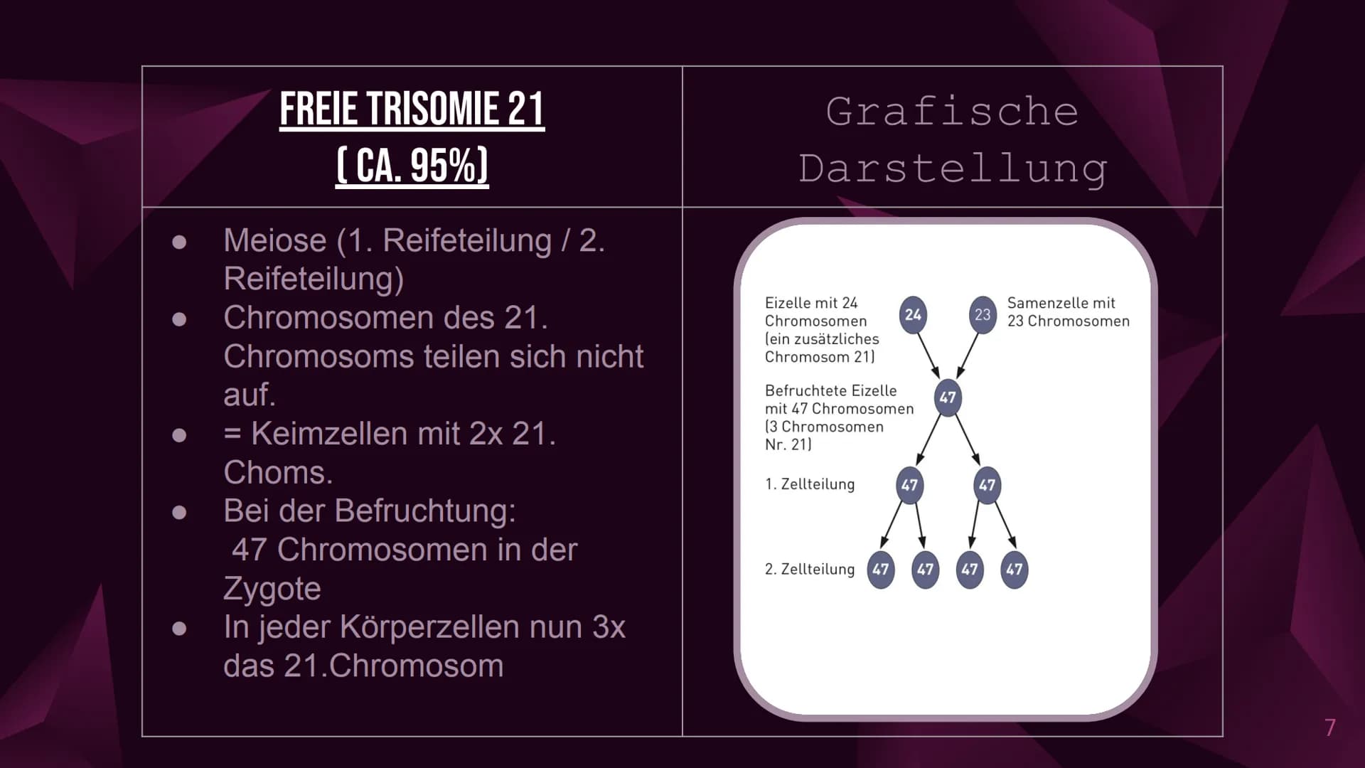 Das Down-Syndrom
(Trisomie 21) Inhaltsverzeichnis
1. Welches Menschenbild hat man?
2. Allgemeine Informationen
3. Formen und Entstehung des 