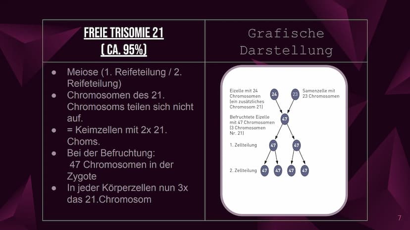 Das Down-Syndrom
(Trisomie 21) Inhaltsverzeichnis
1. Welches Menschenbild hat man?
2. Allgemeine Informationen
3. Formen und Entstehung des 