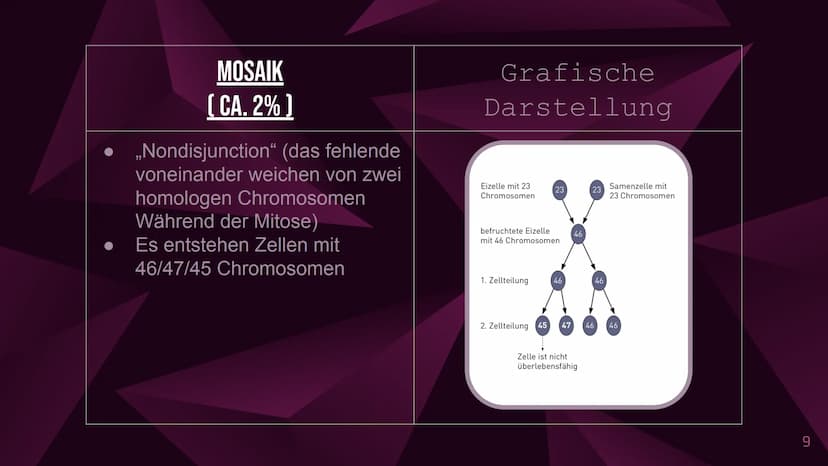 Das Down-Syndrom
(Trisomie 21) Inhaltsverzeichnis
1. Welches Menschenbild hat man?
2. Allgemeine Informationen
3. Formen und Entstehung des 
