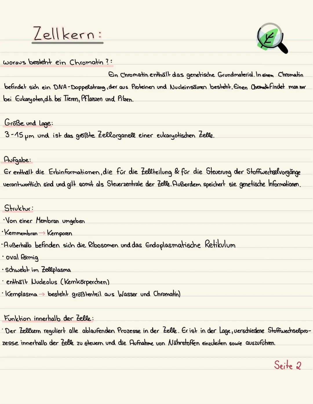 Klausurubung:
1.2.3
4
Der Zellkern
Vakuole
Chloroplasten
Mitochondrium
5
6
7
8 Golgi-Apparat
9 Procyte & Eucyte
10 Eukaryoten
11 Prokaryoten