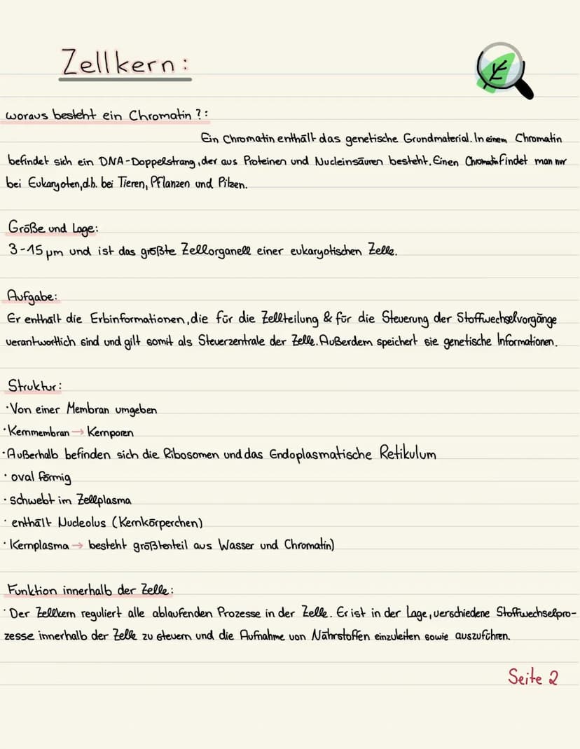 Klausurubung:
1.2.3
4
Der Zellkern
Vakuole
Chloroplasten
Mitochondrium
5
6
7
8 Golgi-Apparat
9 Procyte & Eucyte
10 Eukaryoten
11 Prokaryoten