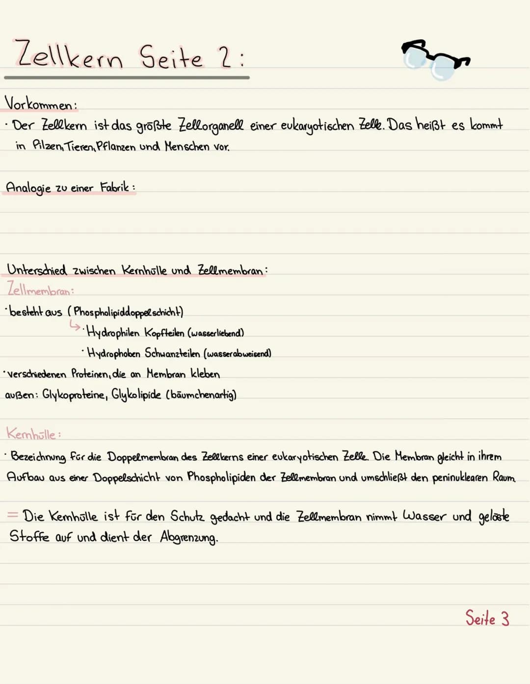Klausurubung:
1.2.3
4
Der Zellkern
Vakuole
Chloroplasten
Mitochondrium
5
6
7
8 Golgi-Apparat
9 Procyte & Eucyte
10 Eukaryoten
11 Prokaryoten