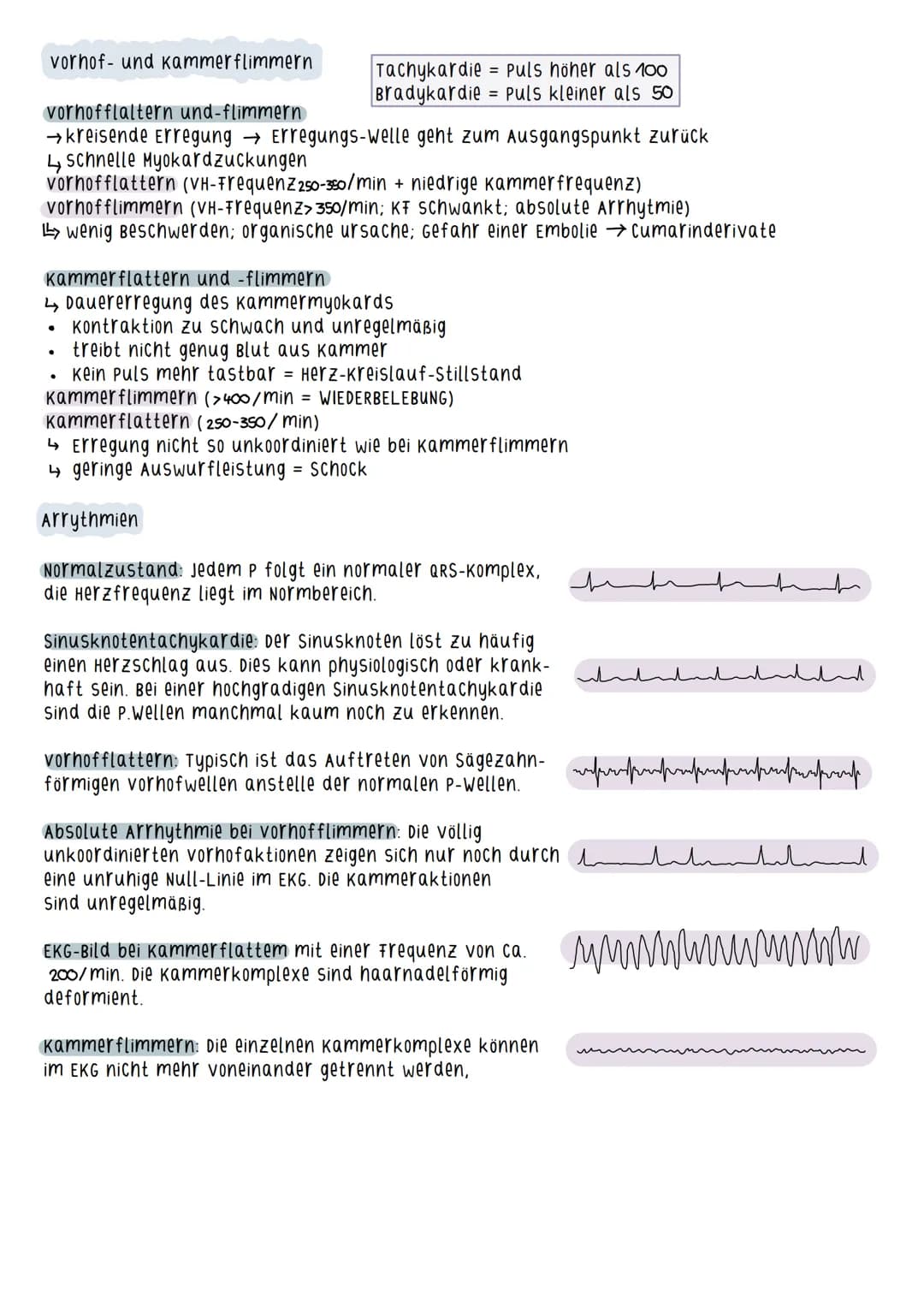 Aufbau des Herzens
=
Myokard - arbeitende schicht des Herzens
(Herzmuskelschicht)
Durch Zusammenziehen des Myokards wird
das Blut ausgeworfe