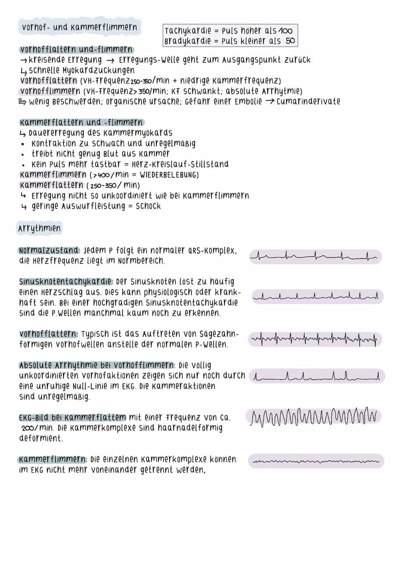 Aufbau des Herzens
=
Myokard - arbeitende schicht des Herzens
(Herzmuskelschicht)
Durch Zusammenziehen des Myokards wird
das Blut ausgeworfe
