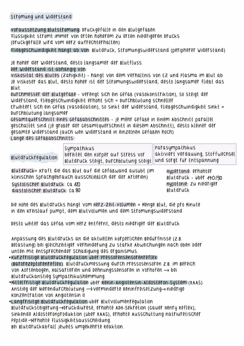 Aufbau des Herzens
=
Myokard - arbeitende schicht des Herzens
(Herzmuskelschicht)
Durch Zusammenziehen des Myokards wird
das Blut ausgeworfe