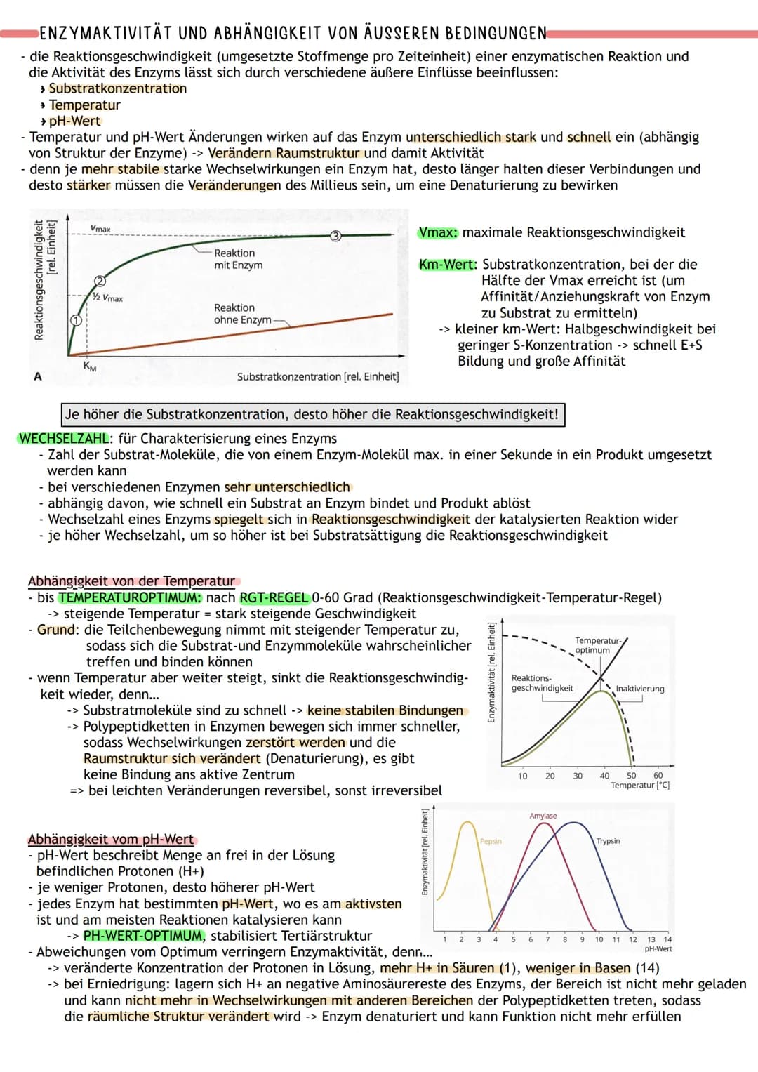 ENZYME WERKZEUGE DES STOFFWECHSELS
Proteine:
- viele sind Biokatalysatoren -> Enzyme
- Funktionen: Gerüst-und Strukturfunktion, Stofftranspo