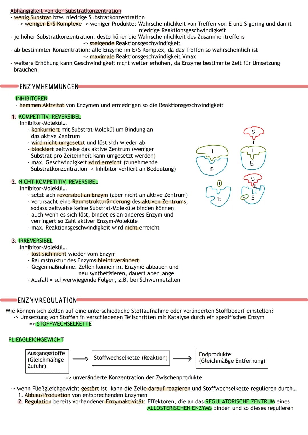 ENZYME WERKZEUGE DES STOFFWECHSELS
Proteine:
- viele sind Biokatalysatoren -> Enzyme
- Funktionen: Gerüst-und Strukturfunktion, Stofftranspo