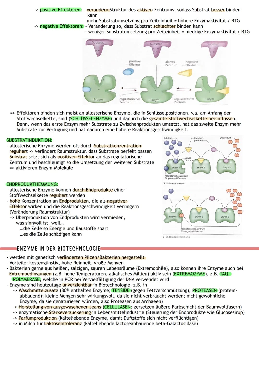 ENZYME WERKZEUGE DES STOFFWECHSELS
Proteine:
- viele sind Biokatalysatoren -> Enzyme
- Funktionen: Gerüst-und Strukturfunktion, Stofftranspo