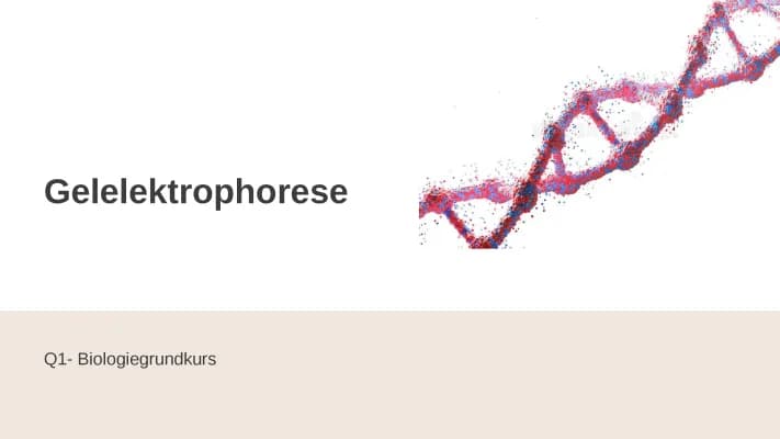 Know Gelelektrophorese thumbnail