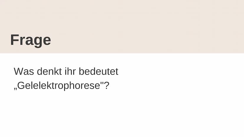 Gelelektrophorese
Q1- Biologiegrundkurs Übersicht der Präsentation
Definition
Verwendung
Material
Ablauf
Auswertung
Quellen Frage
Was denkt 