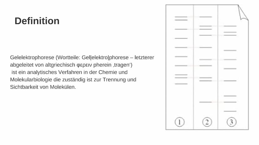 Gelelektrophorese
Q1- Biologiegrundkurs Übersicht der Präsentation
Definition
Verwendung
Material
Ablauf
Auswertung
Quellen Frage
Was denkt 