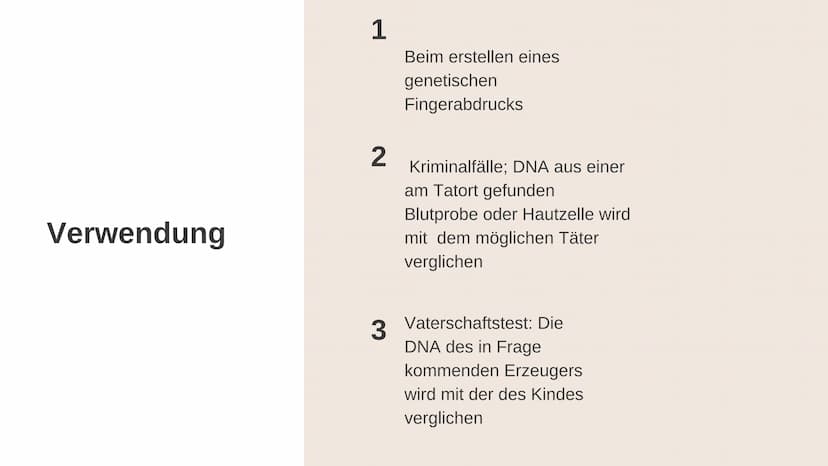Gelelektrophorese
Q1- Biologiegrundkurs Übersicht der Präsentation
Definition
Verwendung
Material
Ablauf
Auswertung
Quellen Frage
Was denkt 
