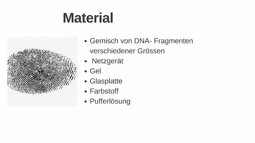 Gelelektrophorese
Q1- Biologiegrundkurs Übersicht der Präsentation
Definition
Verwendung
Material
Ablauf
Auswertung
Quellen Frage
Was denkt 