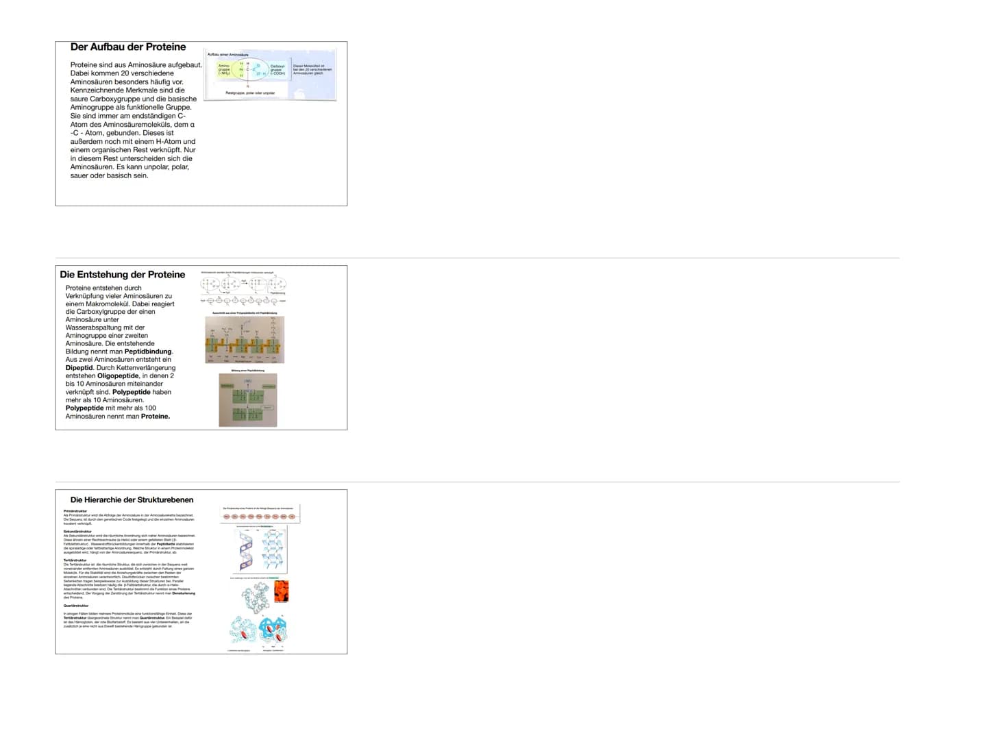 Proteine (Eiweiße)
Posterpräsentation
Inhaltsverzeichnis
• Definition
Der Aufbau von Proteine
Entstehung der Proteine
• Die Hierarchie der S
