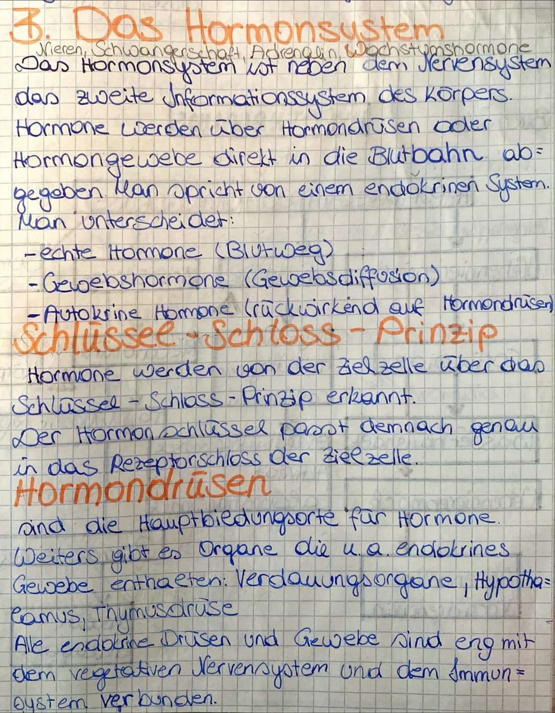 3. Das Hormonsystem
Wieren, Schwangerschaft, Adrenalin Wachstumshormone
Jervensystem
das zweite Informationssystem des Körpers.
Hormone werd