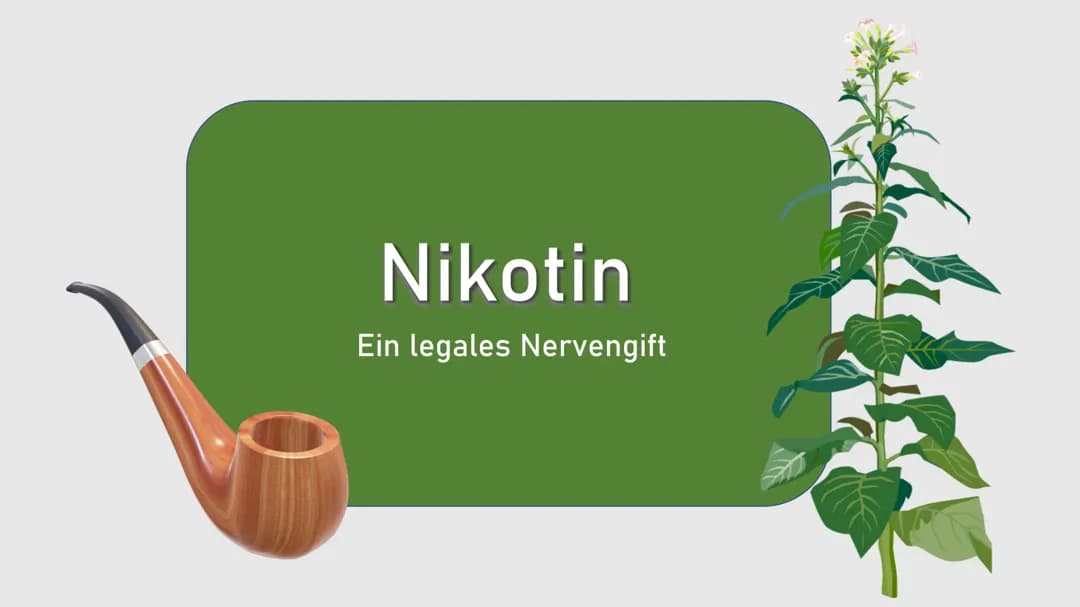 Nikotin