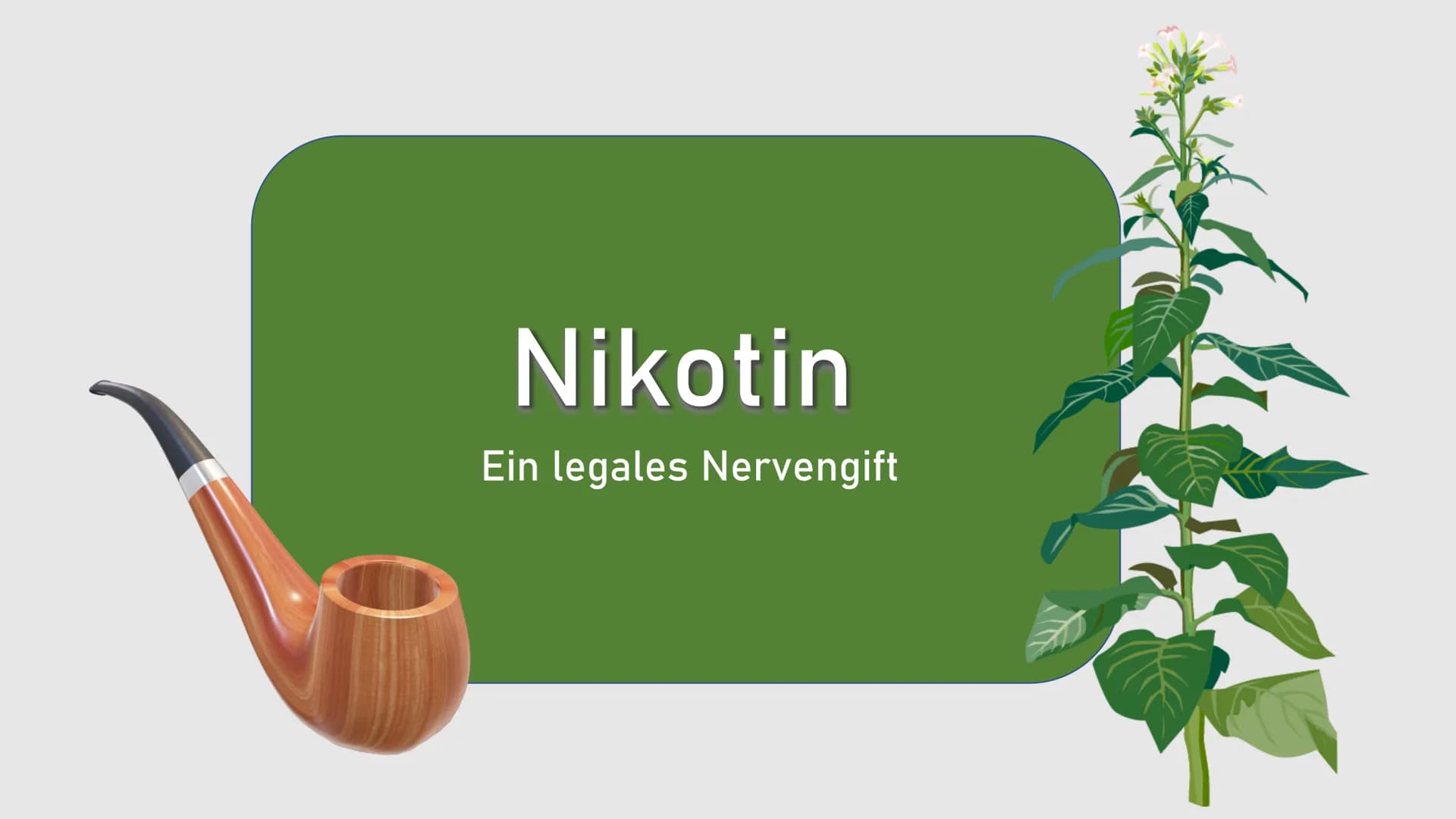 Nikotin
Ein legales Nervengift Ø
|0²
Gliederung
Was ist Nikotin eigentlich? |0²
Gliederung
Anwendung von Nikotin |0²
Gliederung
Was passiert