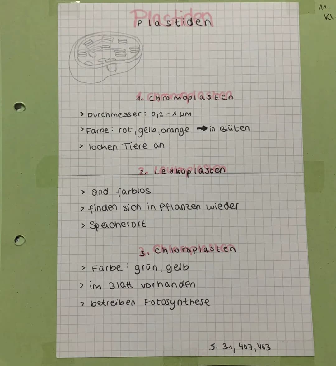 >
Mitochondrien
Äußere
- Membran
Innere
Membran
Aufbau & Form
•Eiförmig / Bonbon
> 1 - 10 um groß
innen
> Doppelmembran
+ außen
gefaltet
gro