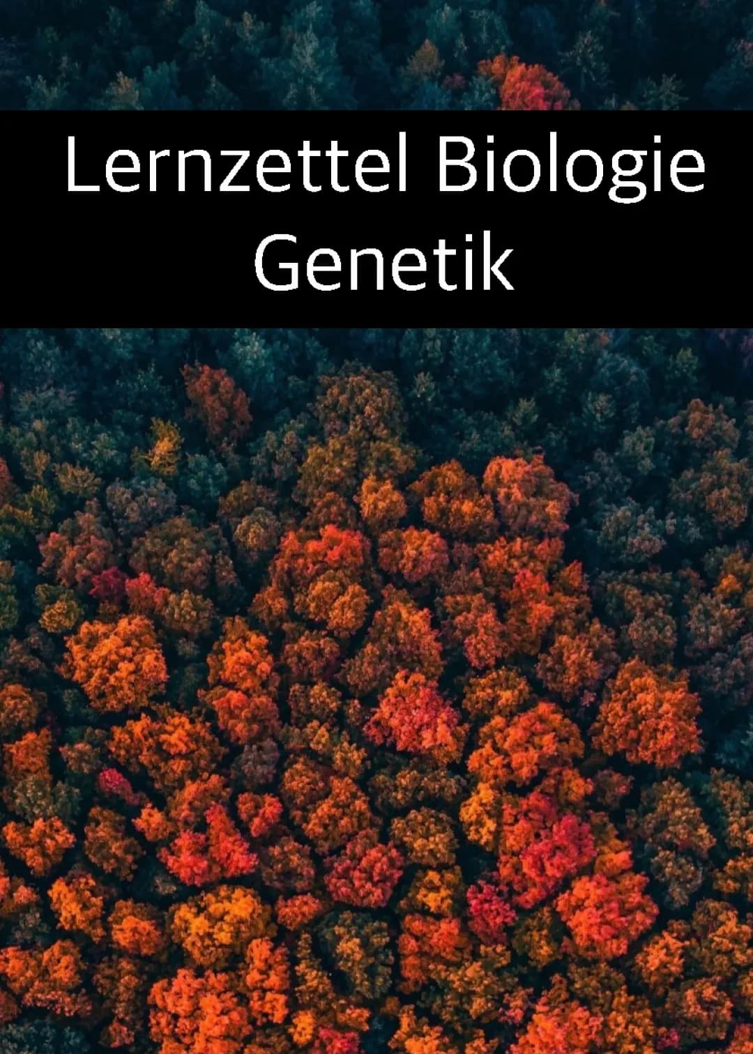 Mitose, Meiose ( Spermatogenese, Oogenese ), Vergleich von Mitose/ Meiose, Stammbaumanalyse mit Beispiel