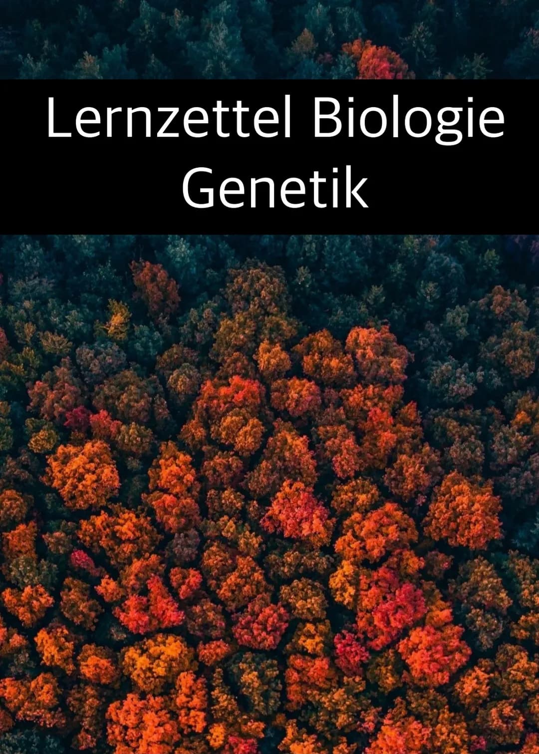 Lernzettel Biologie
Genetik Definition der Mitose:
- gleiche Verteilung von Erbgut auf 2 Tochterzellen
- Ziel: 2 identisch genetische Zellen