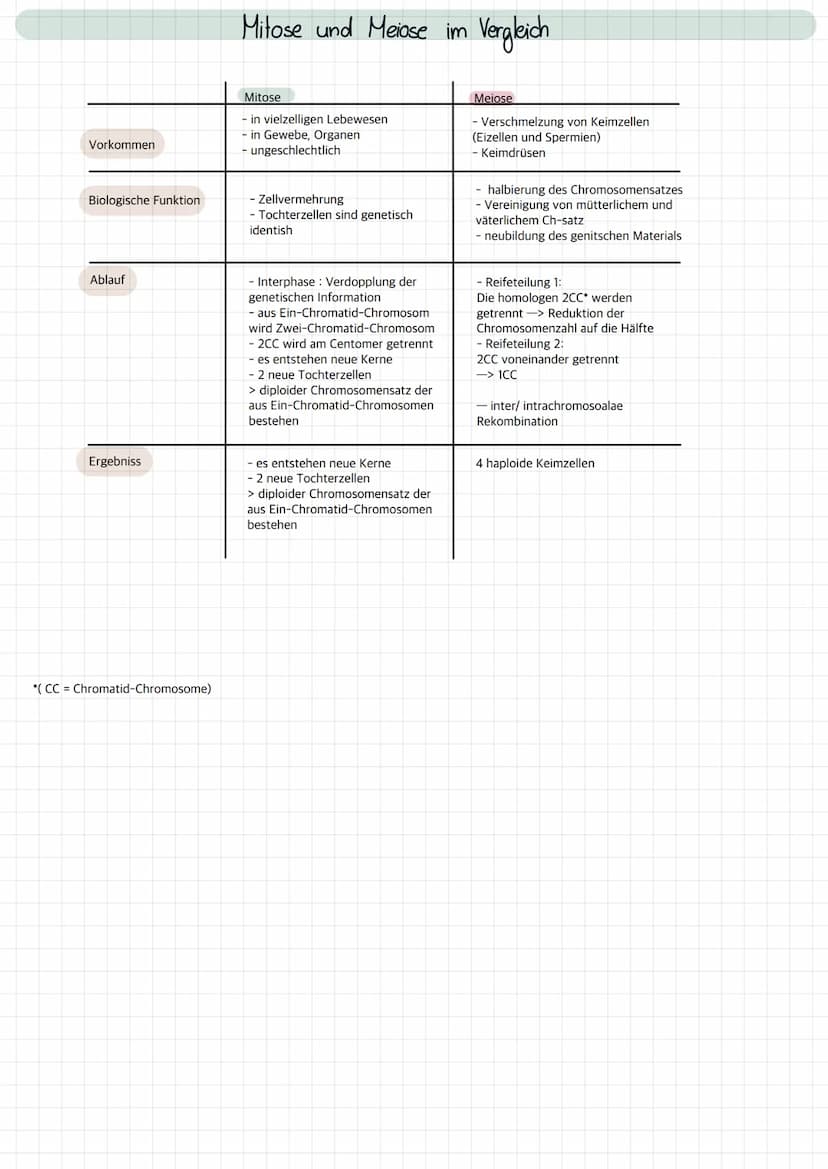 Lernzettel Biologie
Genetik Definition der Mitose:
- gleiche Verteilung von Erbgut auf 2 Tochterzellen
- Ziel: 2 identisch genetische Zellen