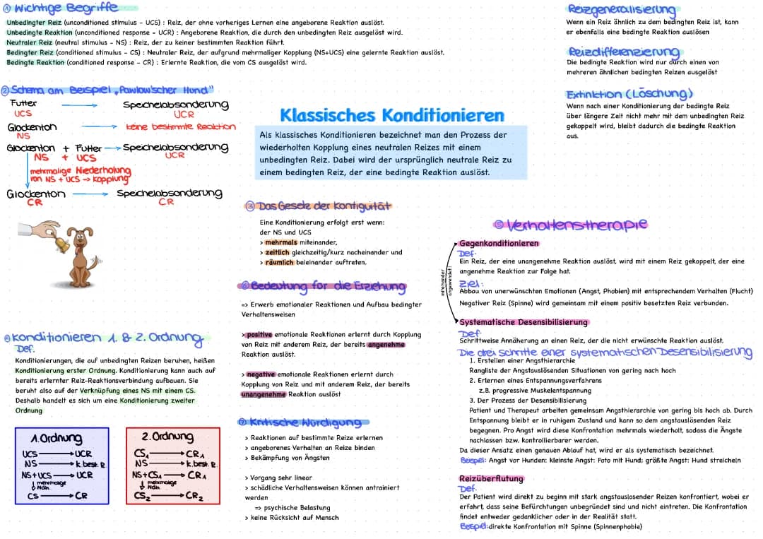 Klassisches Konditionieren 