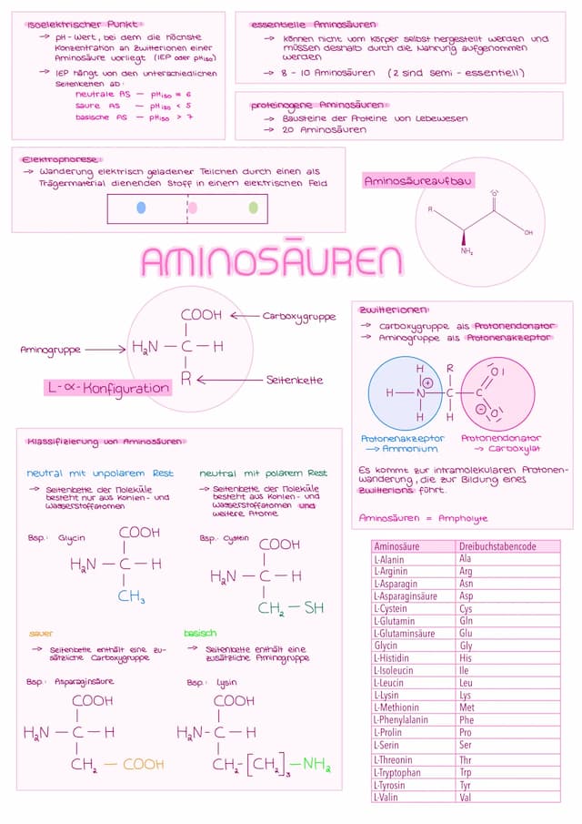 Know Aminosäuren, Peptidbindungen, Hormone und Enzyme thumbnail
