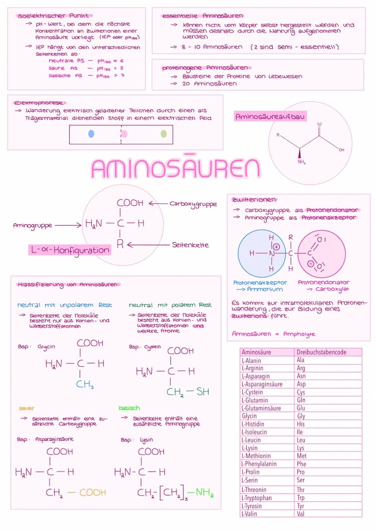 Know Aminosäuren, Peptidbindungen, Hormone und Enzyme thumbnail