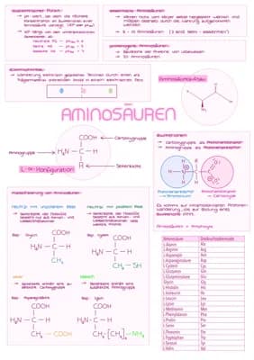 Know Aminosäuren, Peptidbindungen, Hormone und Enzyme thumbnail