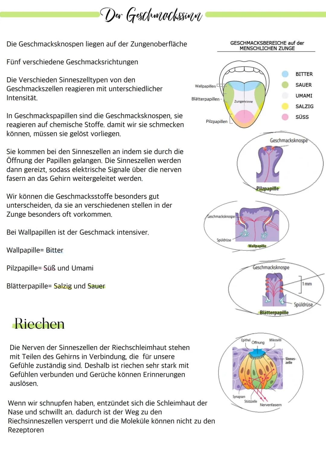 Aufbau des Auges
Bindehaut
Vordere Augenkammer
Hornhaut
Pupille (Öffnung)
Regenbogenhaut (Iris)
Tränenflüssigkeit
brillen-sehhilfen.de
Binde