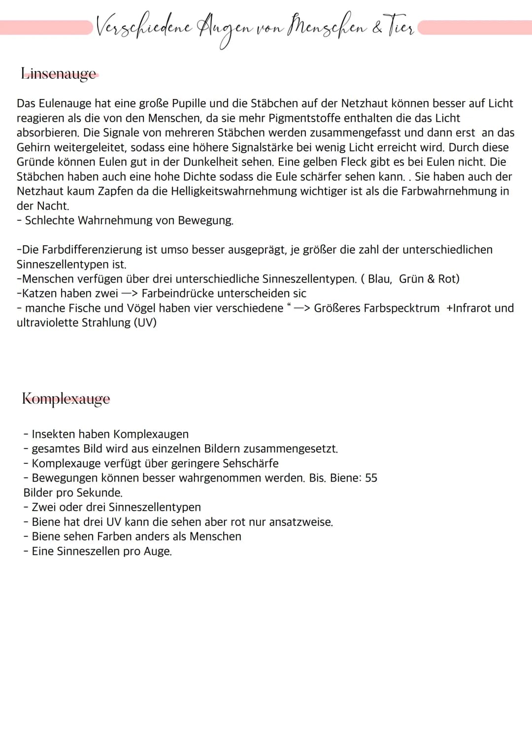 Aufbau des Auges
Bindehaut
Vordere Augenkammer
Hornhaut
Pupille (Öffnung)
Regenbogenhaut (Iris)
Tränenflüssigkeit
brillen-sehhilfen.de
Binde