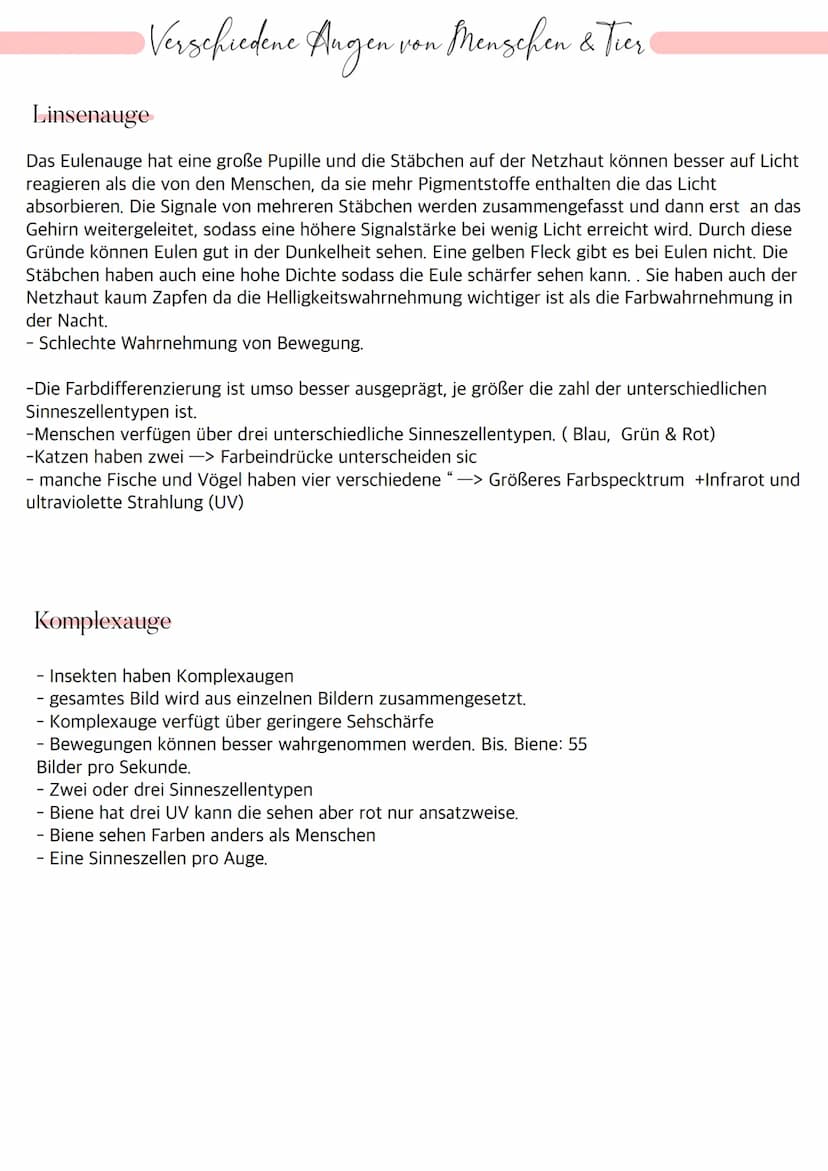 Aufbau des Auges
Bindehaut
Vordere Augenkammer
Hornhaut
Pupille (Öffnung)
Regenbogenhaut (Iris)
Tränenflüssigkeit
brillen-sehhilfen.de
Binde