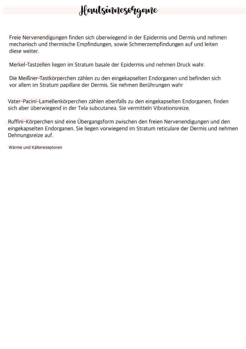 Aufbau des Auges
Bindehaut
Vordere Augenkammer
Hornhaut
Pupille (Öffnung)
Regenbogenhaut (Iris)
Tränenflüssigkeit
brillen-sehhilfen.de
Binde