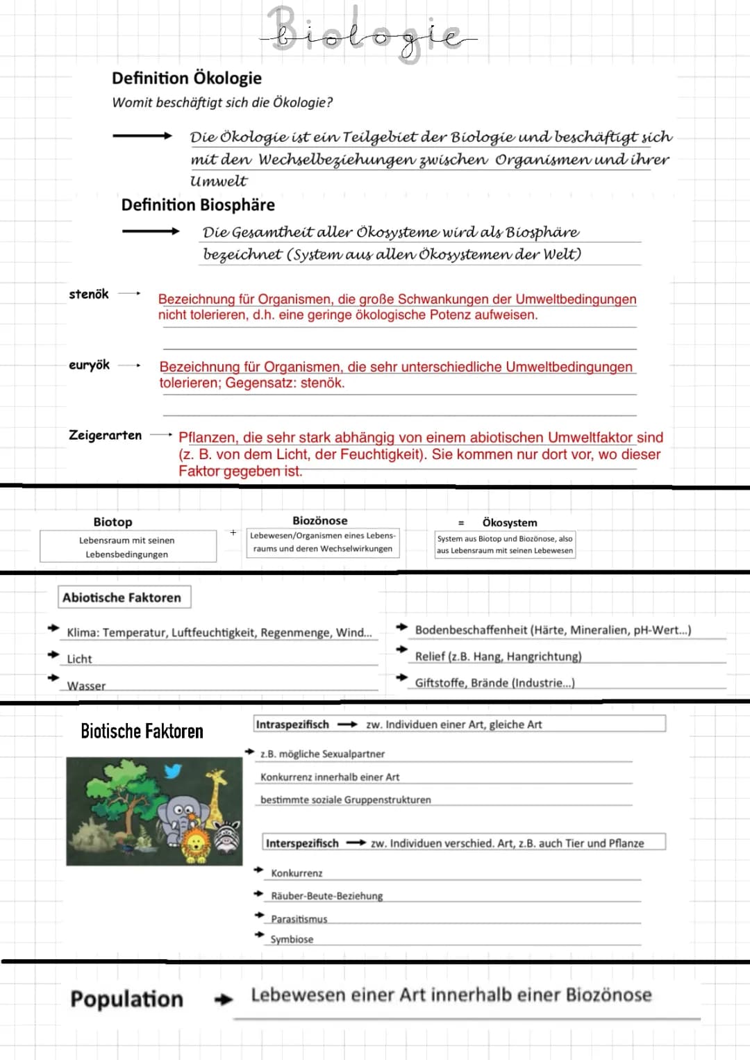 Ökosystem 