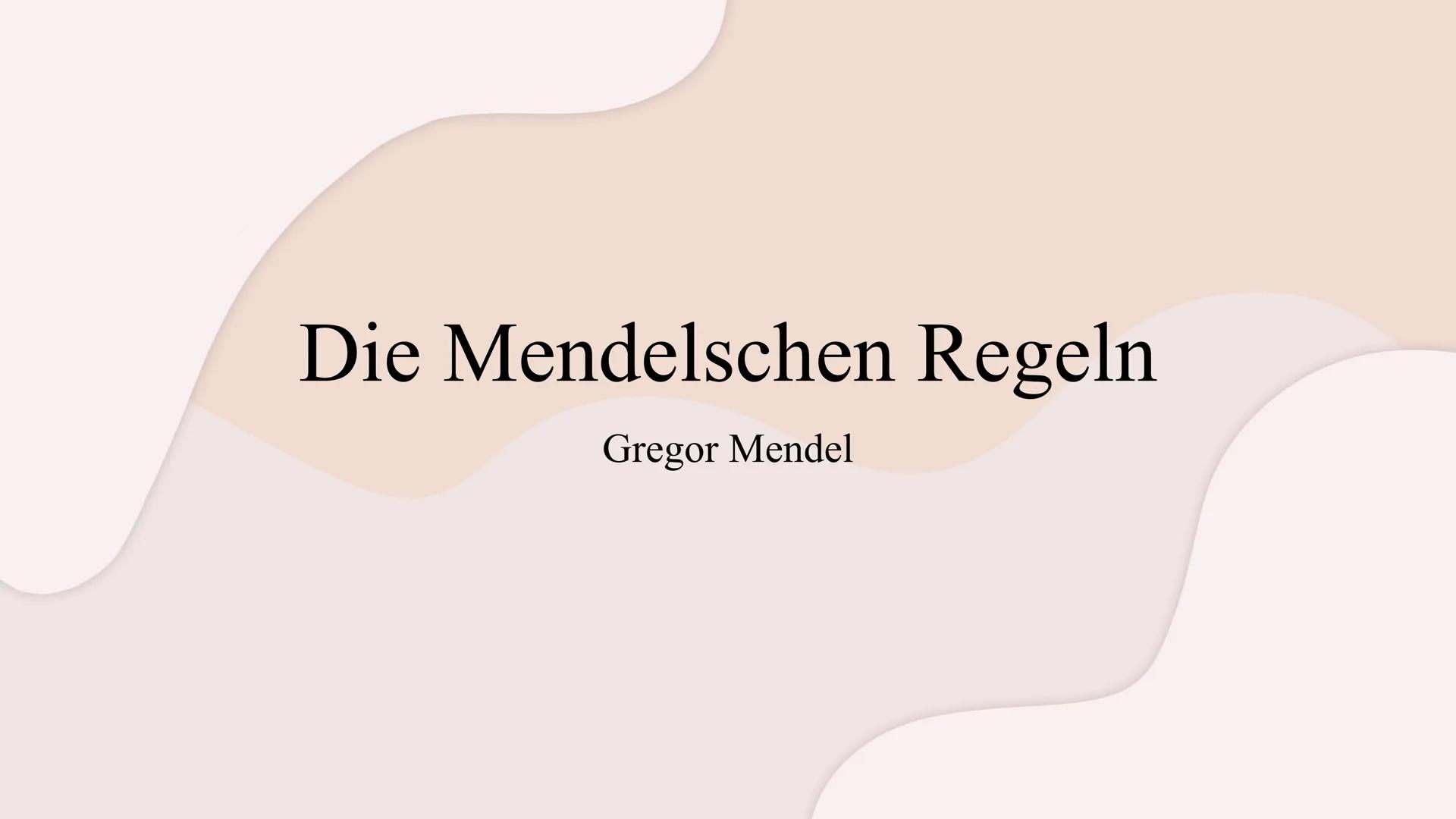 Die Mendelschen Regeln
Gregor Mendel Gliederung
1. Wer war Gregor Mendel?
2. Wie fand Mendel die meldelschen Regeln heraus?
3. Grundlagenwis