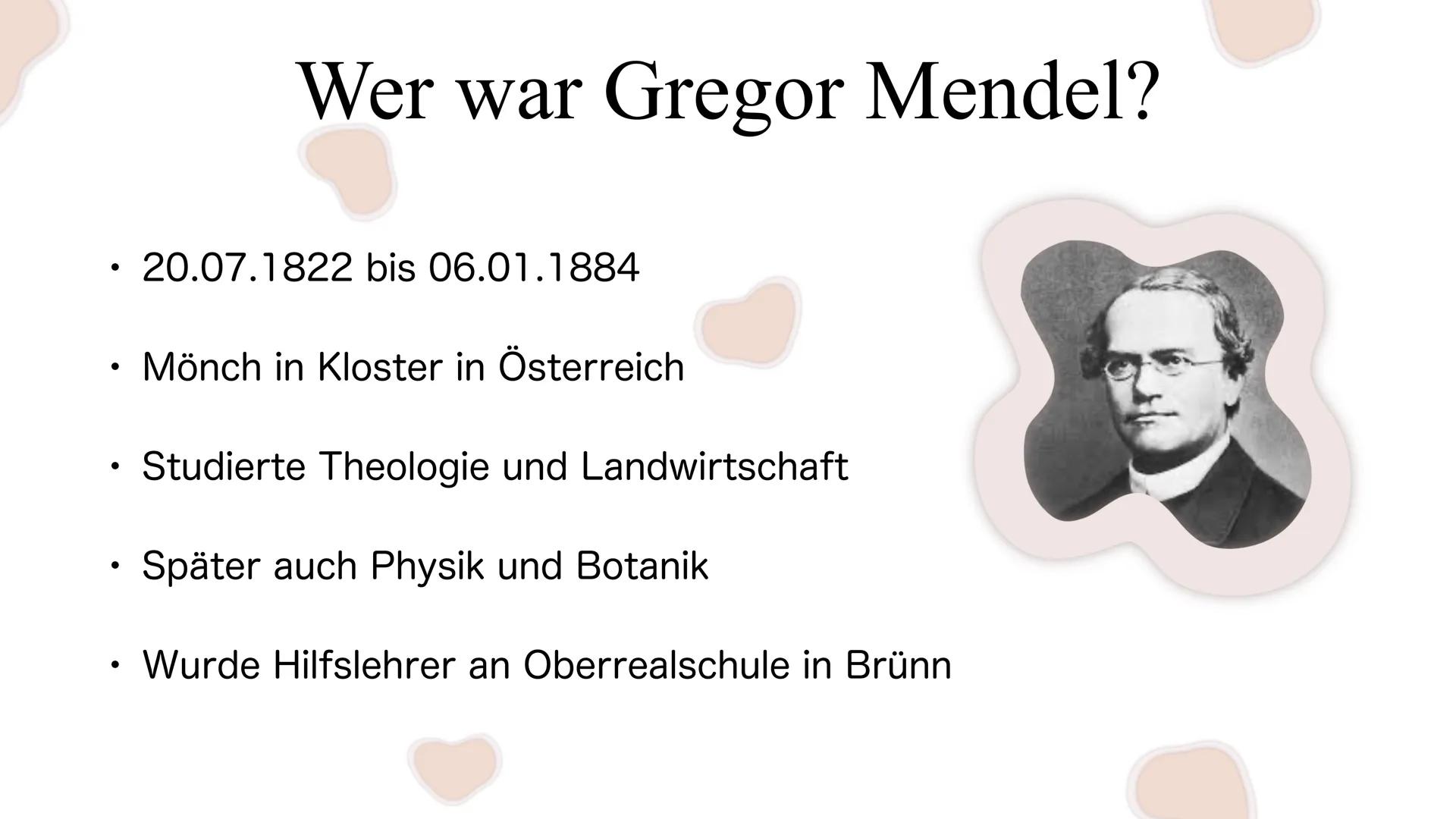 Die Mendelschen Regeln
Gregor Mendel Gliederung
1. Wer war Gregor Mendel?
2. Wie fand Mendel die meldelschen Regeln heraus?
3. Grundlagenwis