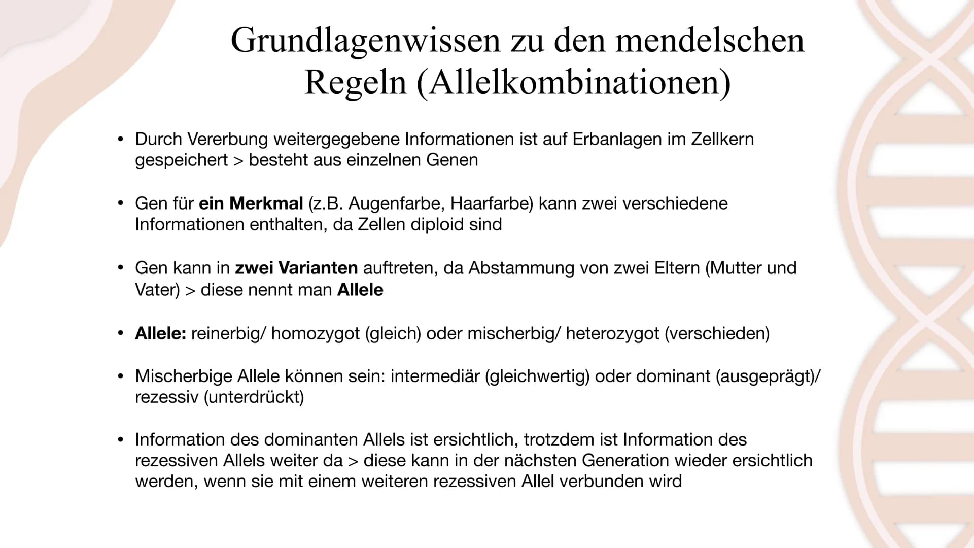 Die Mendelschen Regeln
Gregor Mendel Gliederung
1. Wer war Gregor Mendel?
2. Wie fand Mendel die meldelschen Regeln heraus?
3. Grundlagenwis