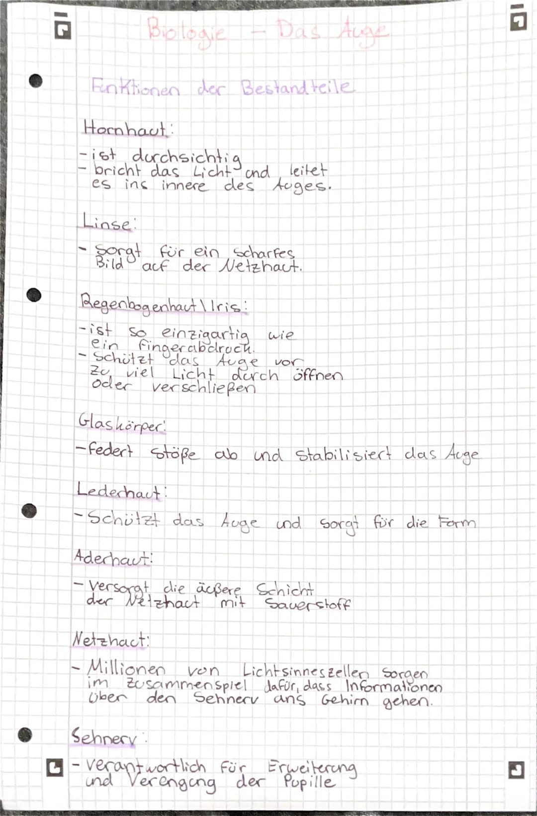 Biologie
Aufbau des Auges
3
Pupille
Lin se
2
1 Homhaut
Das Auge
4 Regenbogen hact
5 Glaskörper
Lederhaut
Aderhaut
Netzhaut 8
Augenmuskel 10
