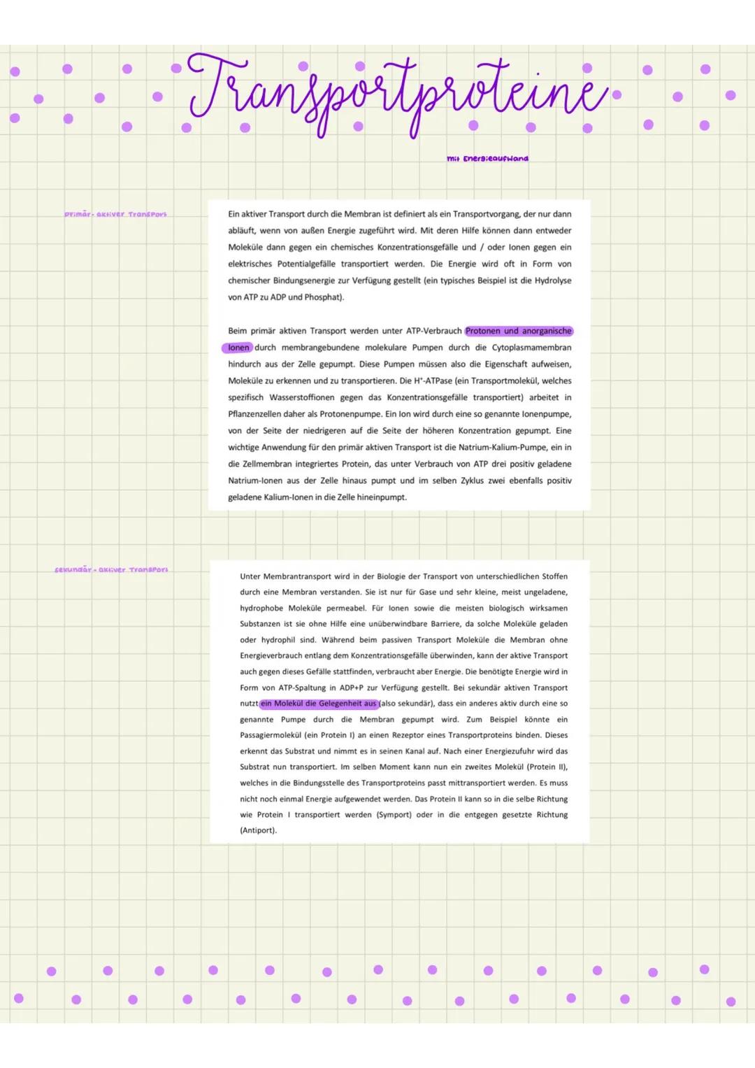 Transportproteine und Erleichterte Diffusion einfach erklärt: Beispiele und Funktionen