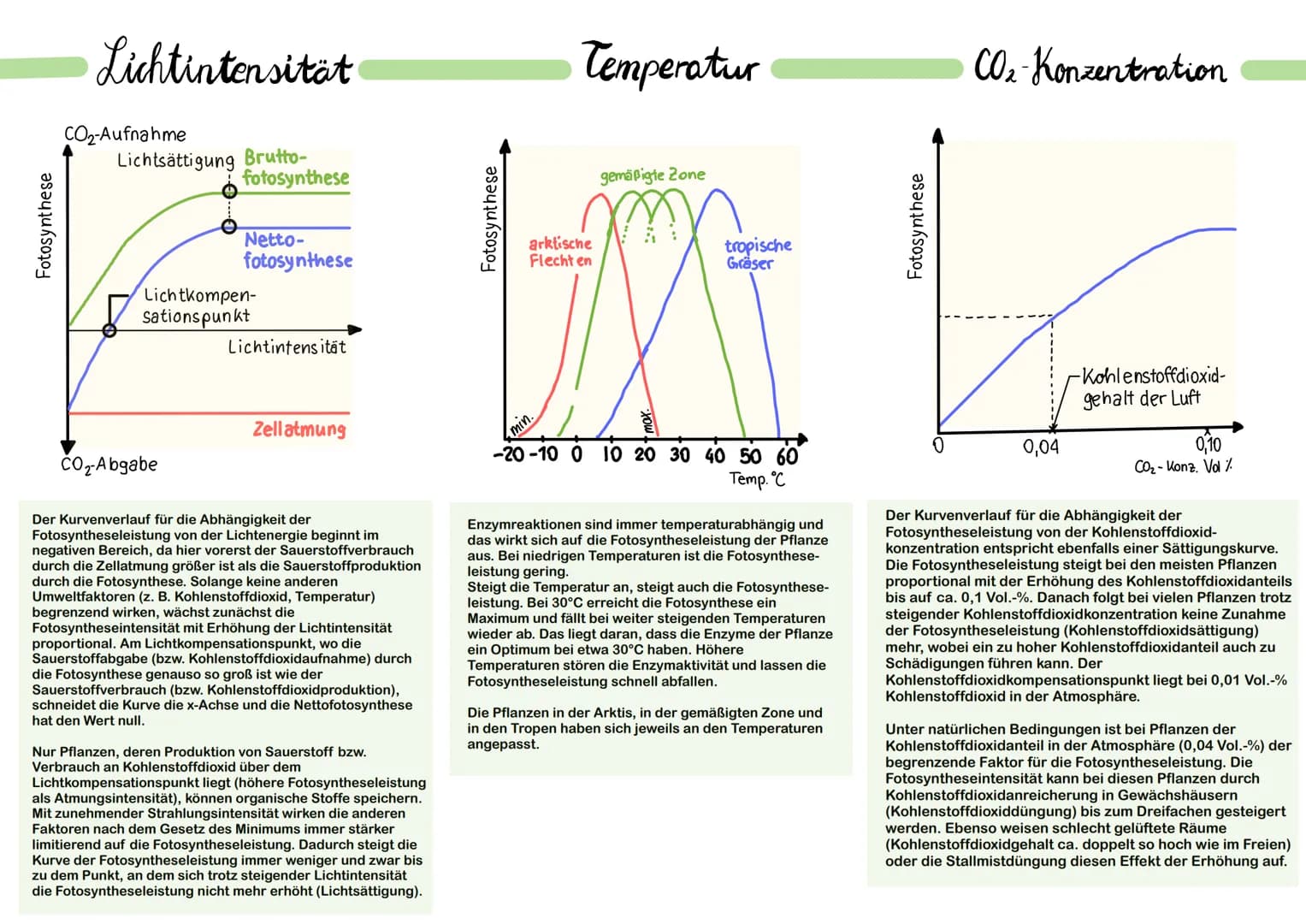 Pflanzen besitzen meistens an der unteren Epidermis Spaltöffnungen,
welche für den Gasaustausch zuständig sind (CO2-Aufname und 02-
Abgabe).