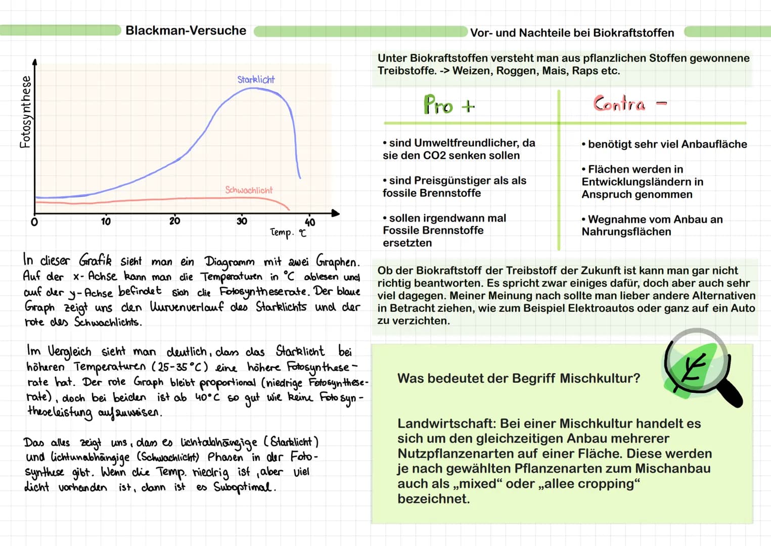 Pflanzen besitzen meistens an der unteren Epidermis Spaltöffnungen,
welche für den Gasaustausch zuständig sind (CO2-Aufname und 02-
Abgabe).