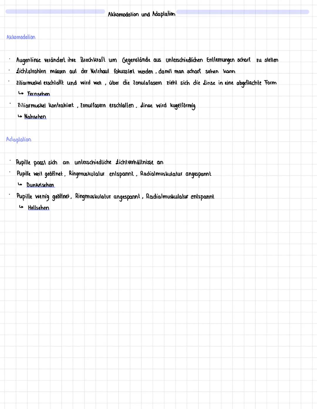 1. Aufbau und Funktion
2. Akkomodation und Adaptation
3. Die Netzhaut
4. Fototransduktion in einem Stäbchen
5. Laterale Inhibition
Aufbau de