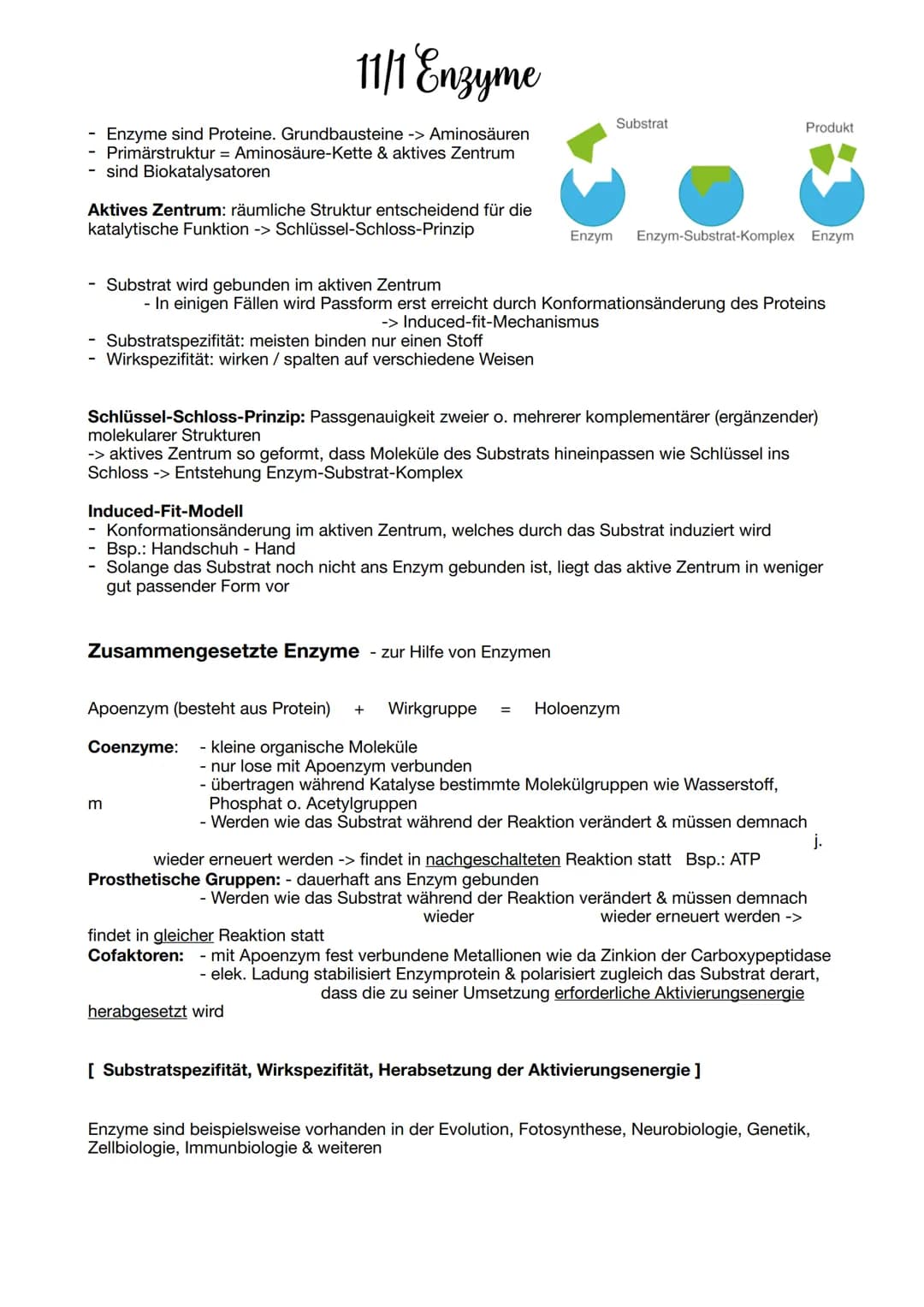 11/1 Enzyme
Enzyme sind Proteine. Grundbausteine -> Aminosäuren
- Primärstruktur = Aminosäure-Kette & aktives Zentrum
sind Biokatalysatoren
