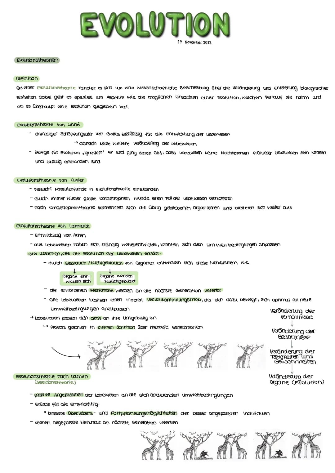 Evolutionstheorien
EVOLUTION
Definition
Bei einer Evolutionstheorie randelt es sich um eine wissenschaftliche Beschreibung über die verander