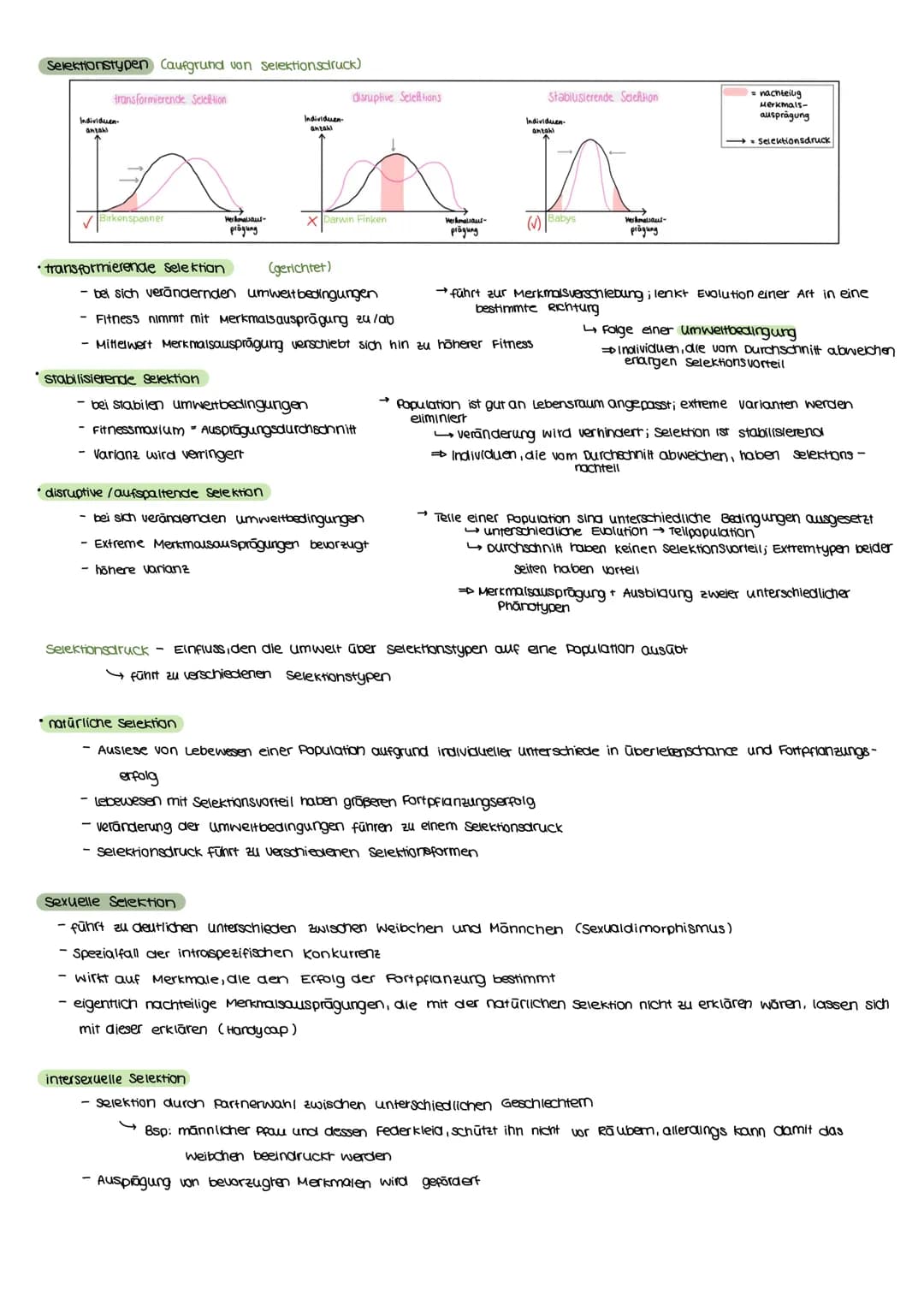 Evolutionstheorien
EVOLUTION
Definition
Bei einer Evolutionstheorie randelt es sich um eine wissenschaftliche Beschreibung über die verander