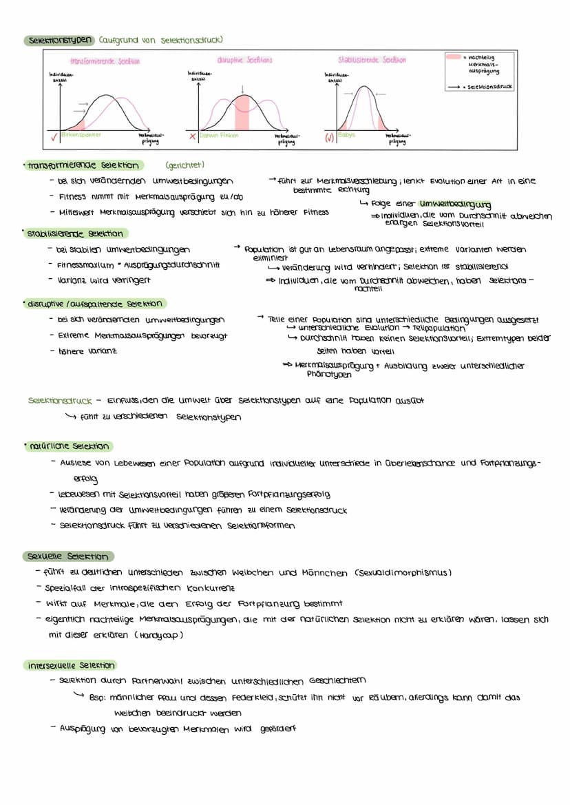 Evolutionstheorien
EVOLUTION
Definition
Bei einer Evolutionstheorie randelt es sich um eine wissenschaftliche Beschreibung über die verander