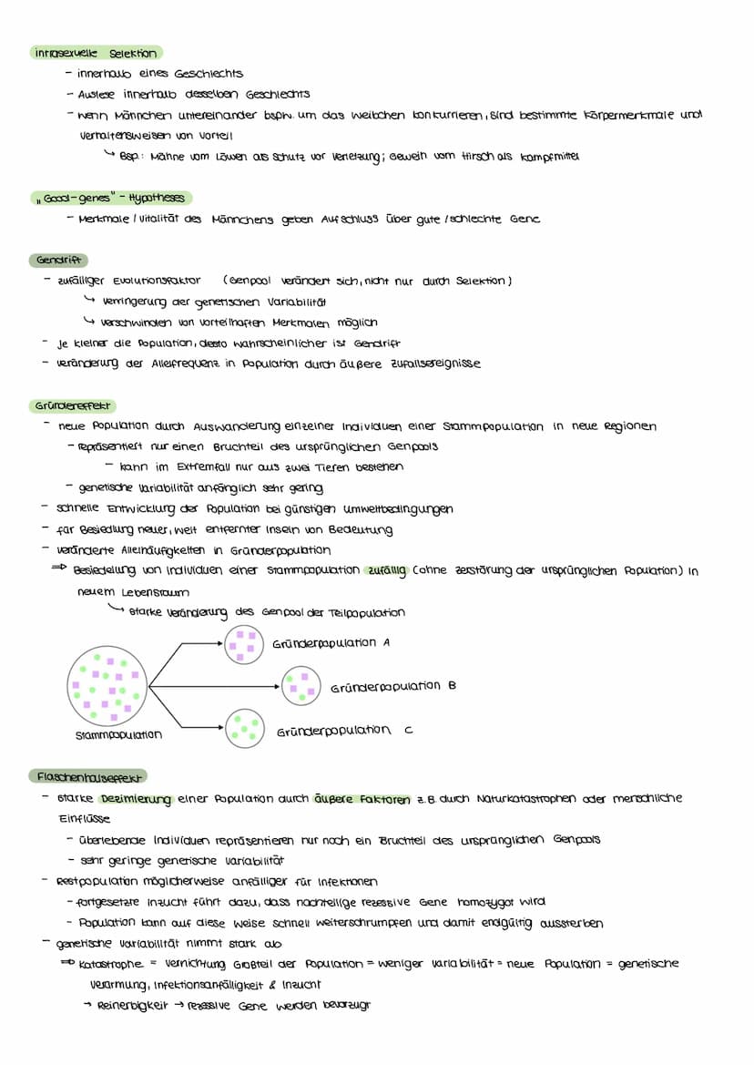 Evolutionstheorien
EVOLUTION
Definition
Bei einer Evolutionstheorie randelt es sich um eine wissenschaftliche Beschreibung über die verander