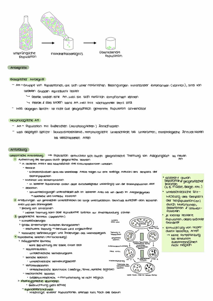 Evolutionstheorien
EVOLUTION
Definition
Bei einer Evolutionstheorie randelt es sich um eine wissenschaftliche Beschreibung über die verander
